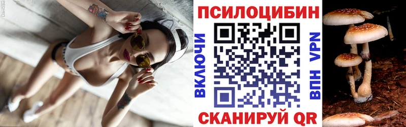 Псилоцибиновые грибы Cubensis Новотроицк