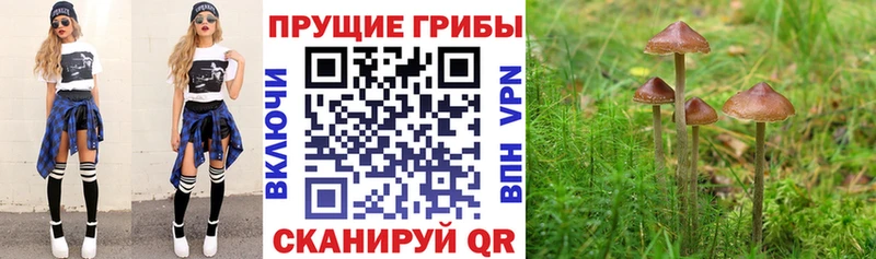 Галлюциногенные грибы MAGIC MUSHROOMS  Новотроицк 
