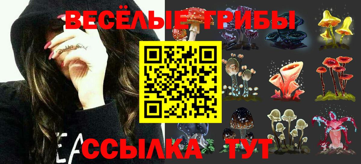 Псилоцибиновые грибы прущие грибы  Вход с VPN  цена наркотик  Псилоцибиновые грибы GOLDEN TEACHER  Новотроицк 